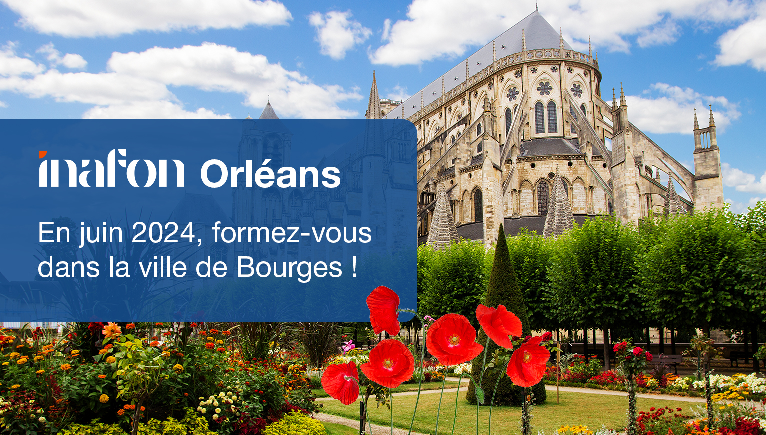 actu-orleans-avril-2024-6627bfc467cff709273665.jpg